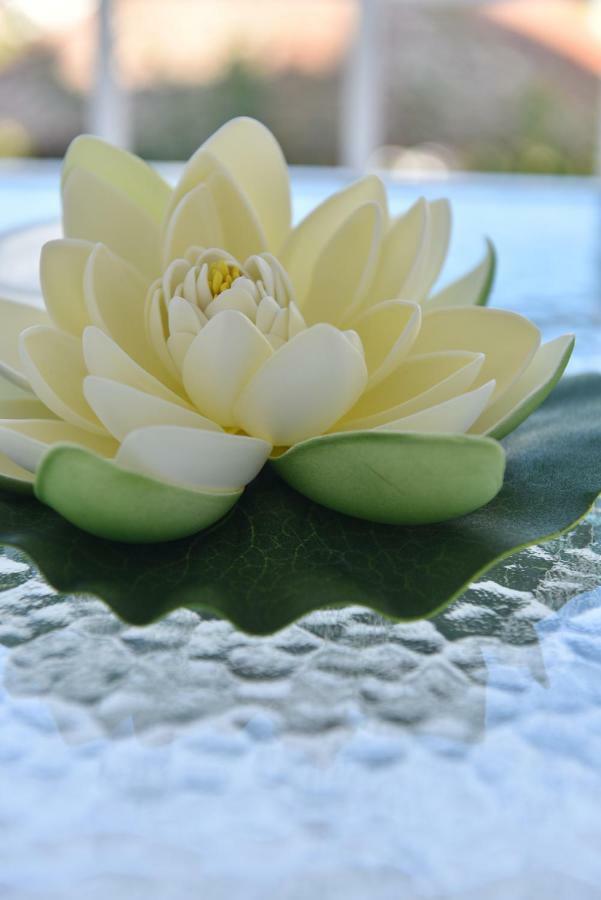 Ilion Luxury Apartments อัสโปรวาลตา ภายนอก รูปภาพ